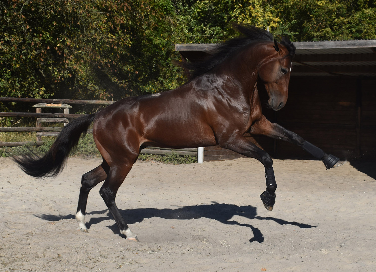 Whos Who. Foto: A.Lindblom